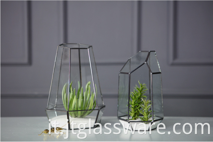 Indoor Plant Black Glass Terrarium Geometric